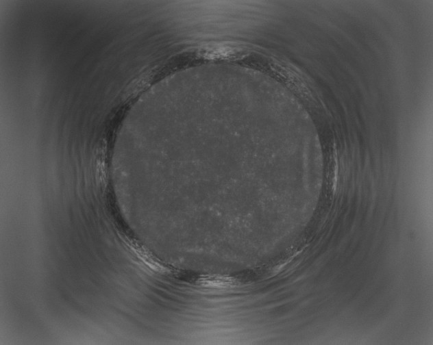 X0000082940510200702222250