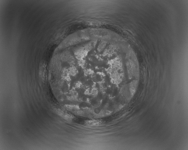 X0000082940511200702222250