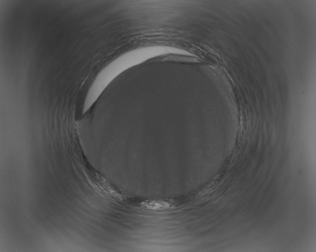 X0000082940512200702222250