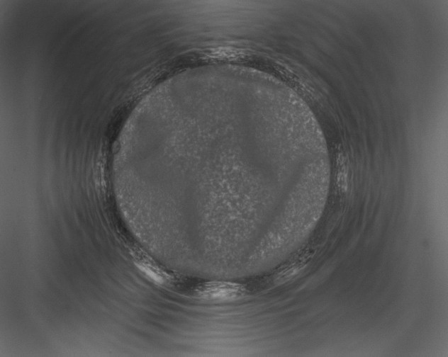 X0000082940514200702222250