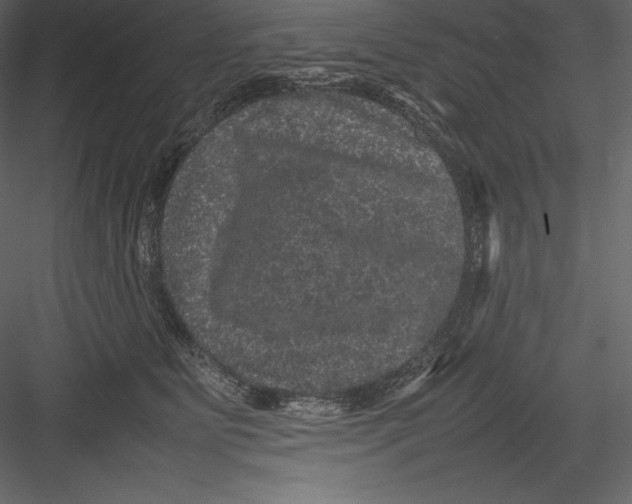 X0000082940515200702222250