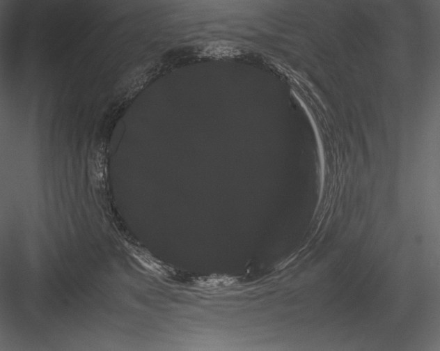 X0000082940517200702222250