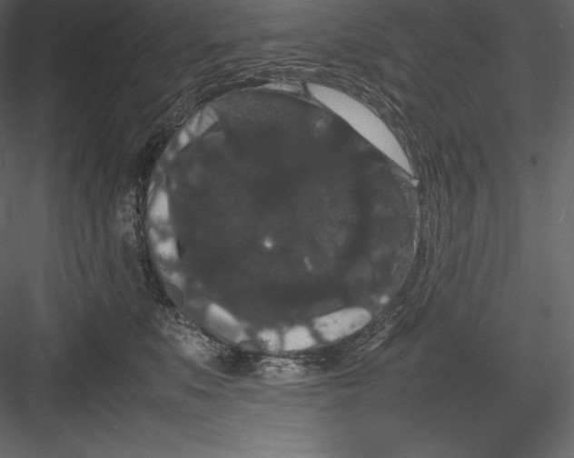 X0000082940519200702222250