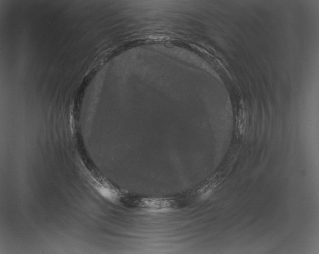 X0000082940520200702222250