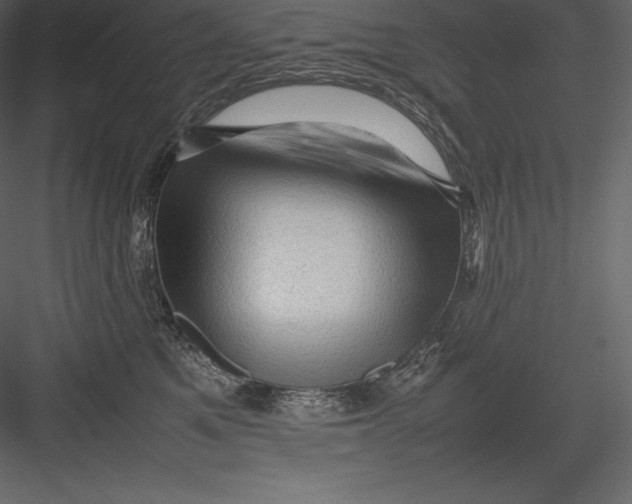 X0000082940521200702222250