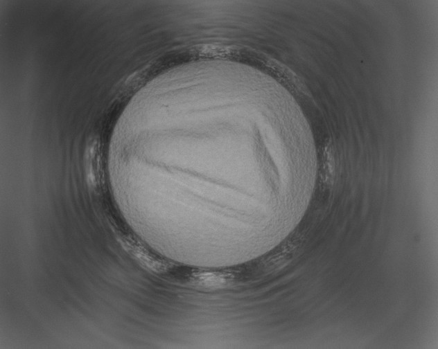 X0000082940522200702222250