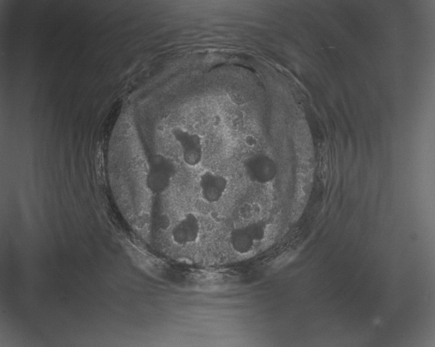 X0000082940523200702222250