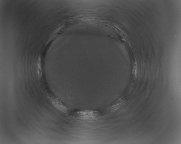 X0000082940524200702222250