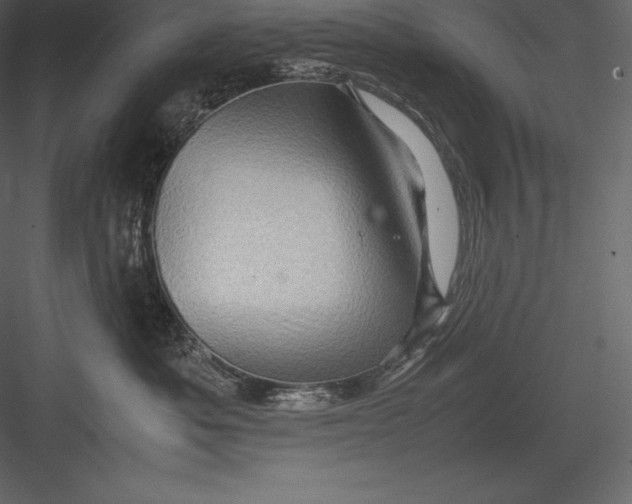 X0000082940525200702222250