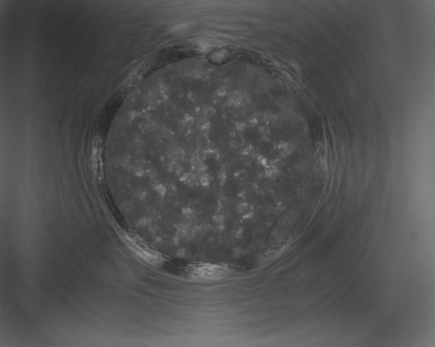 X0000082940527200702222250