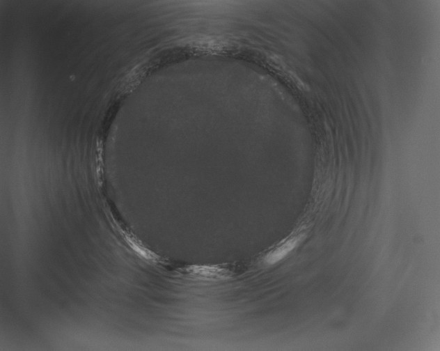 X0000082940528200702222250