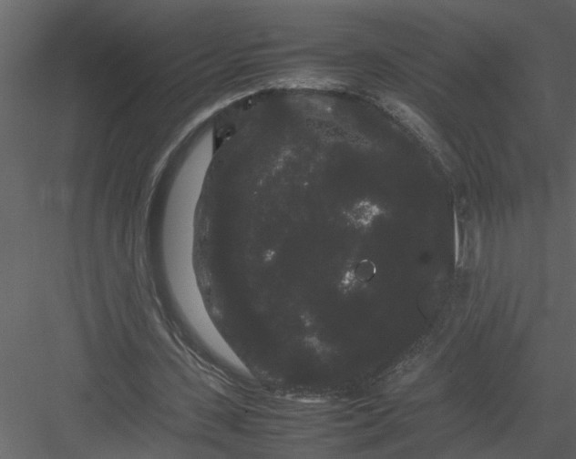 X0000082940531200702222249