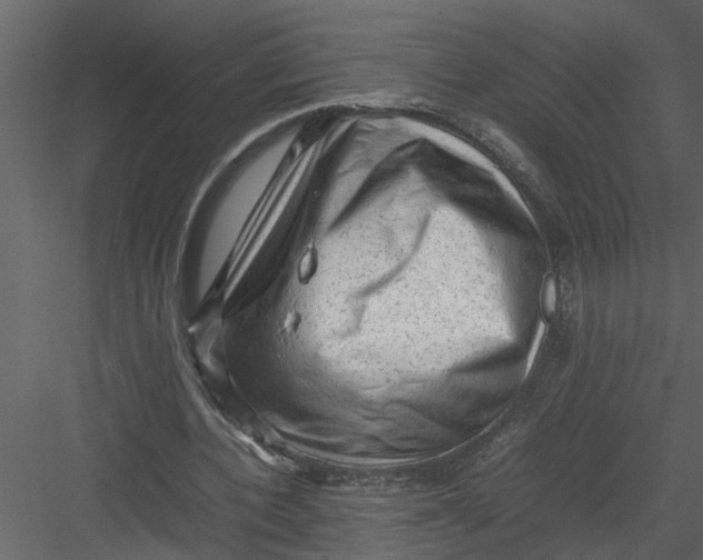 X0000082940532200702222249