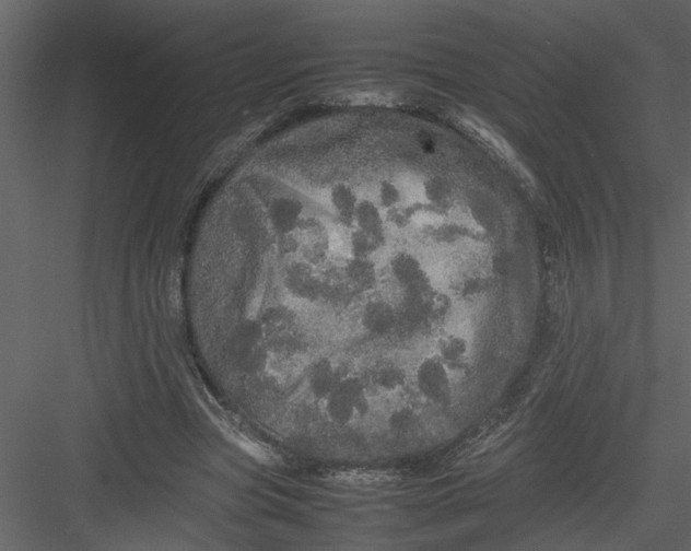 X0000082940537200702222249