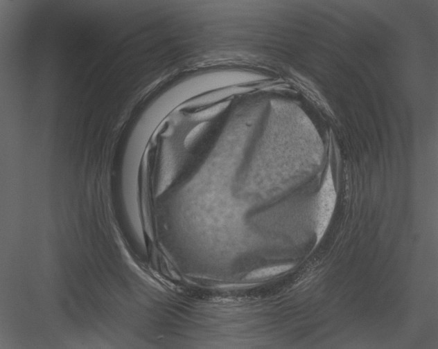 X0000082940538200702222249