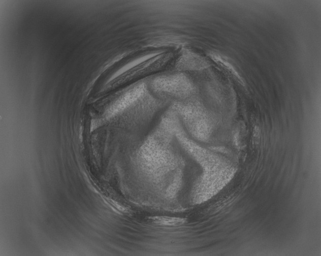 X0000082940539200702222249