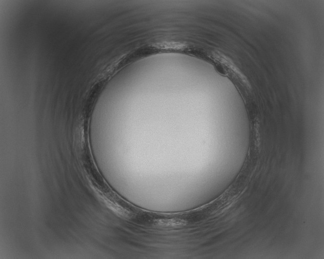 X0000082940541200702222249