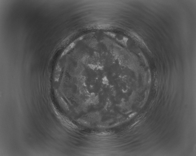 X0000082940542200702222249