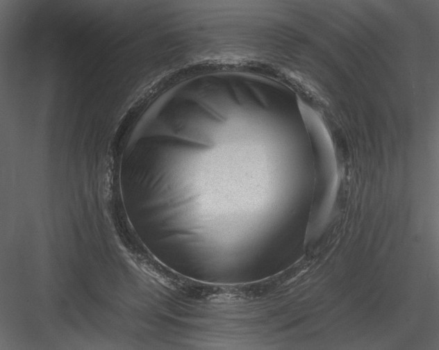 X0000082940544200702222249