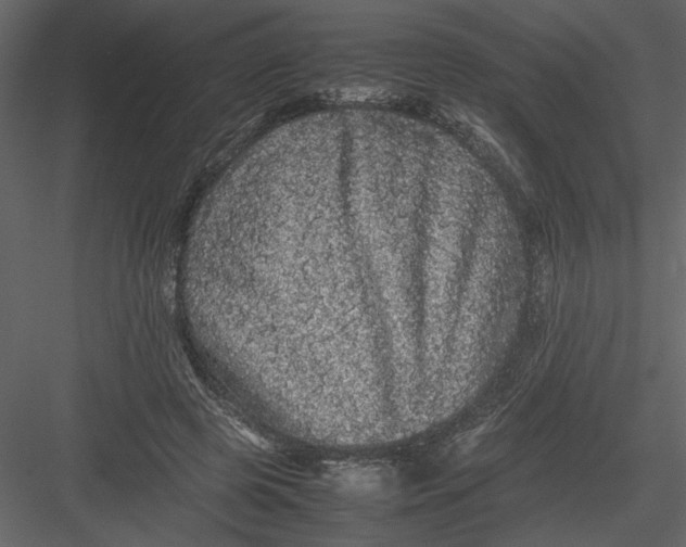 X0000082940545200702222249