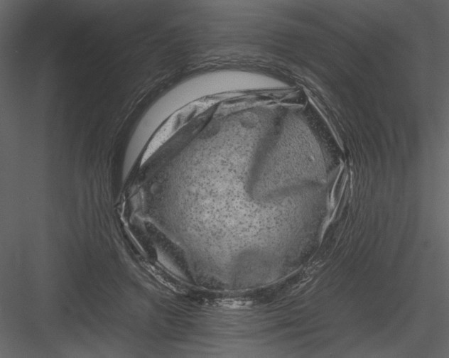 X0000082940546200702222249