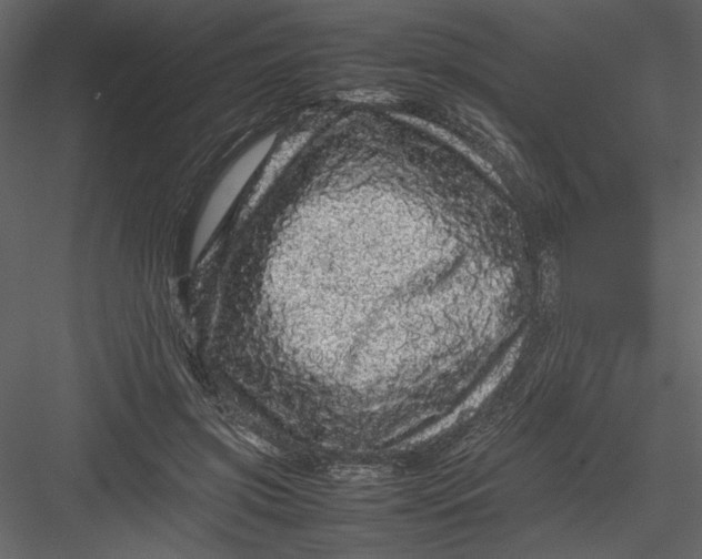 X0000082940549200702222249