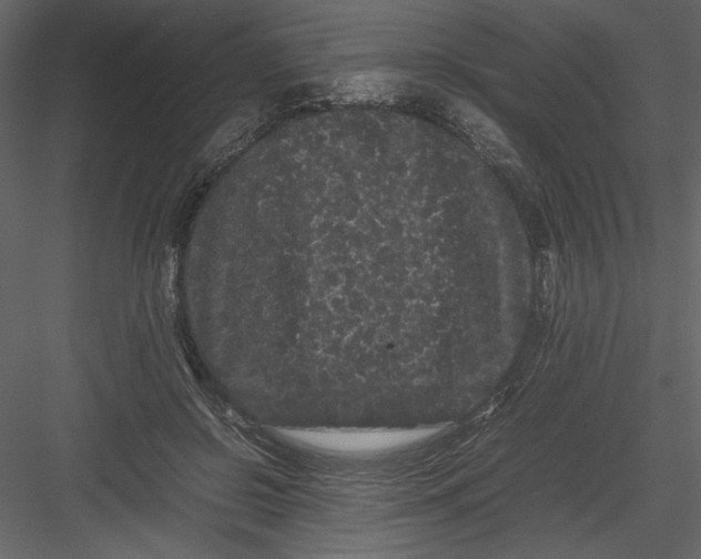 X0000082940550200702222249