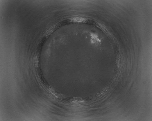 X0000082940551200702222249