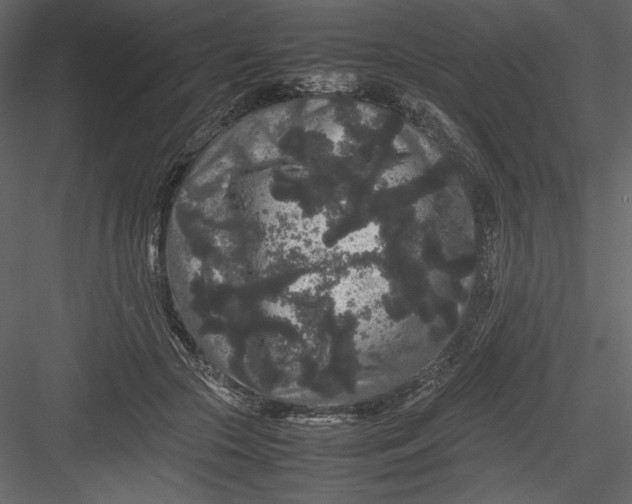 X0000082940553200702222249