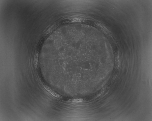 X0000082940554200702222249