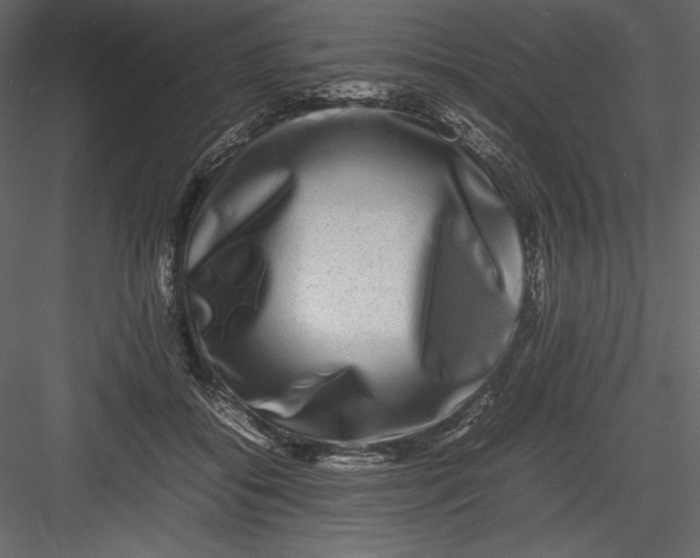 X0000082940556200702222249