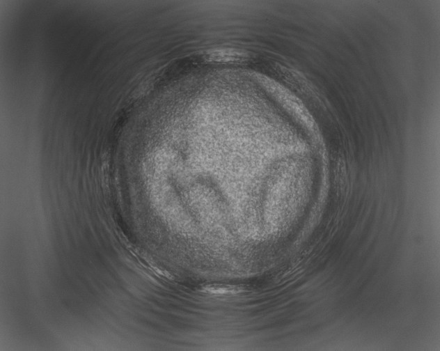 X0000082940557200702222250