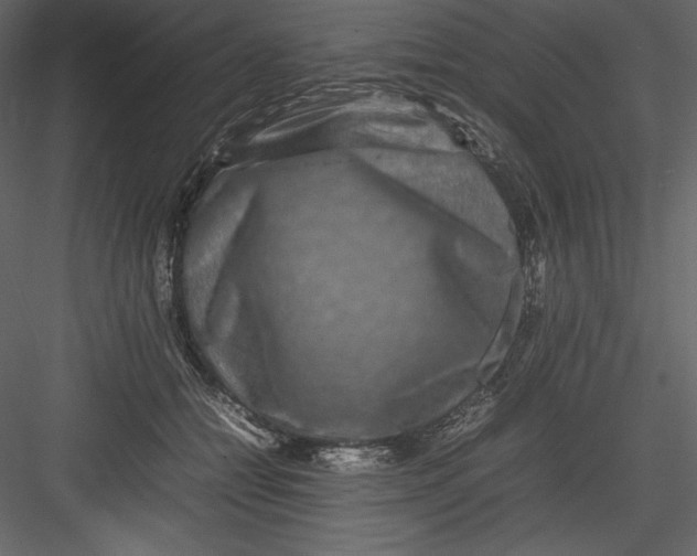 X0000082940558200702222250