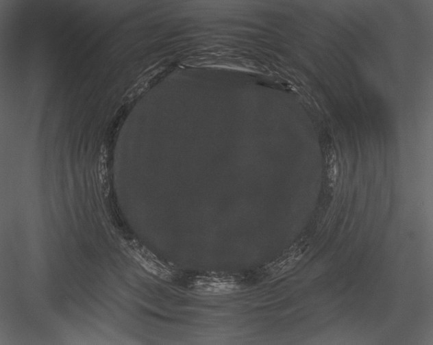 X0000082940559200702222250