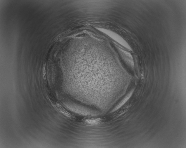 X0000082940560200702222250