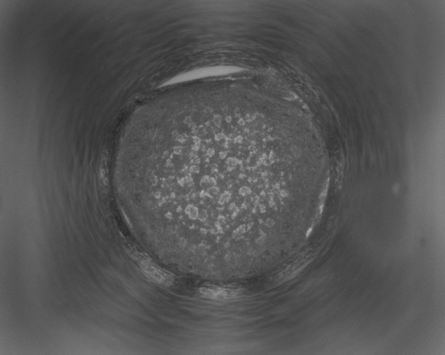 X0000082940561200702222250