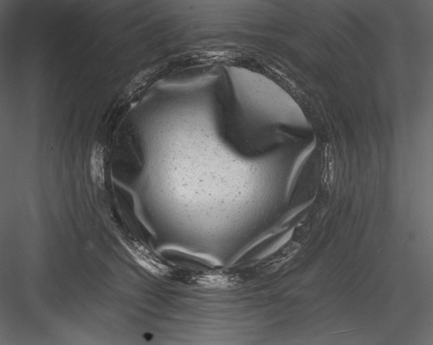 X0000082940562200702222250