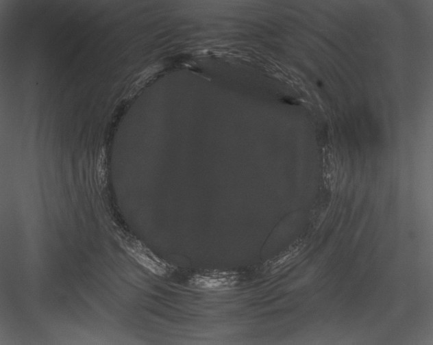 X0000082940563200702222250