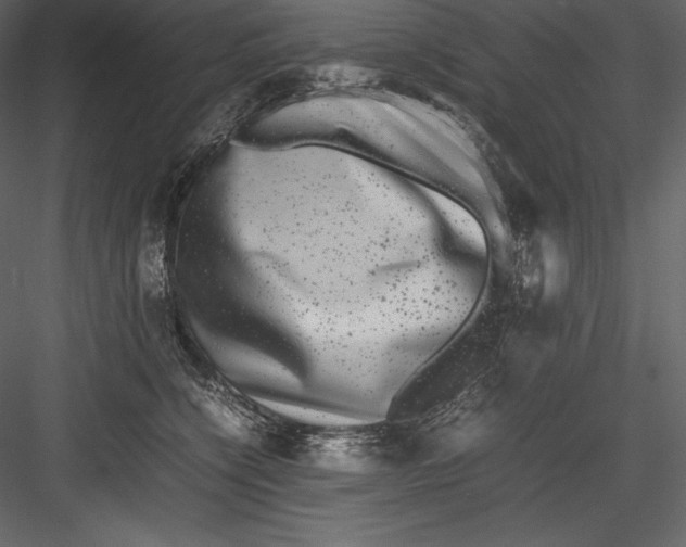 X0000082940564200702222250