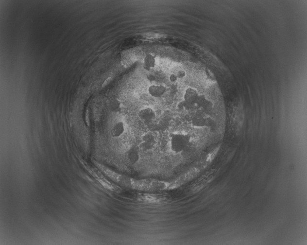 X0000082940565200702222250