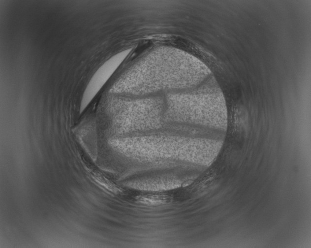 X0000082940567200702222250