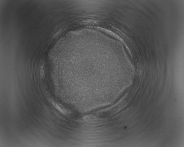 X0000082940568200702222250