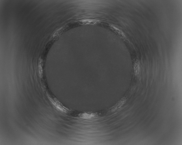 X0000082940570200702222250