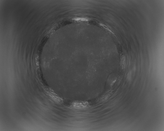 X0000082940571200702222250