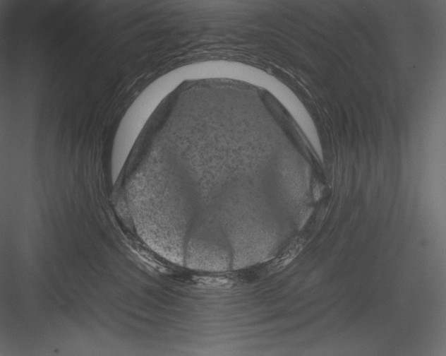 X0000082940572200702222250