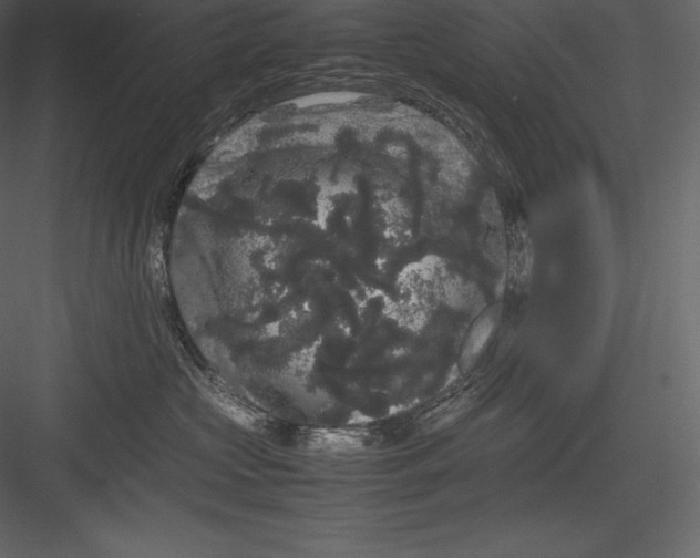 X0000082940573200702222250