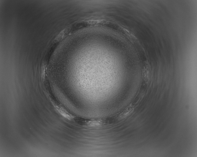 X0000082940574200702222250