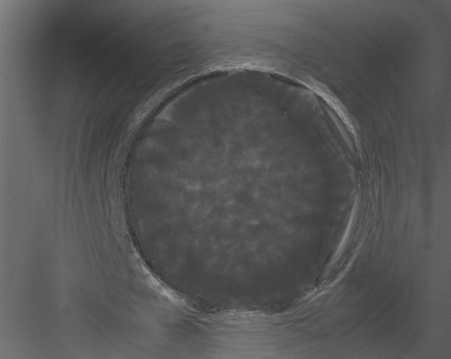 X0000082940577200702222249