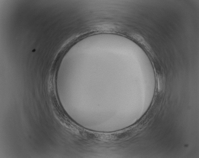 X0000082940579200702222249