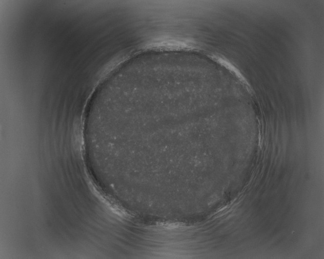 X0000082940582200702222249